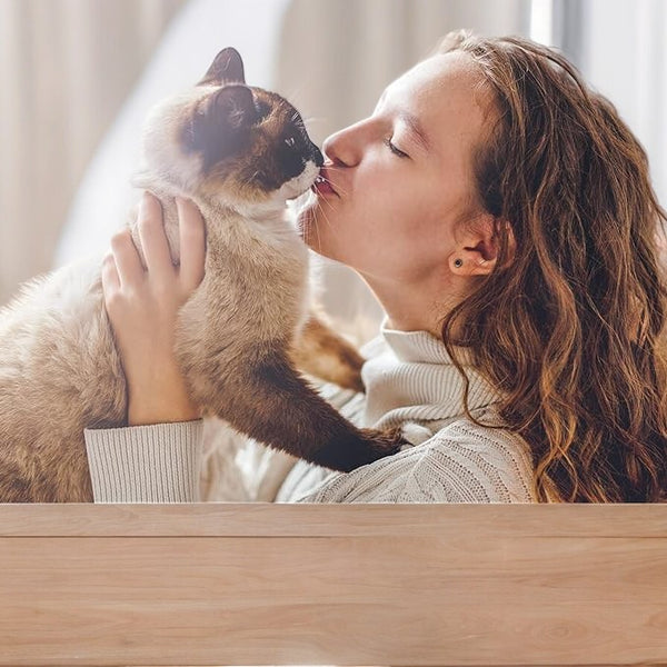 Electric Pet Massager