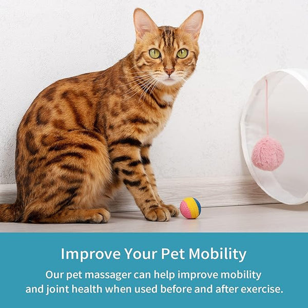 Electric Pet Massager