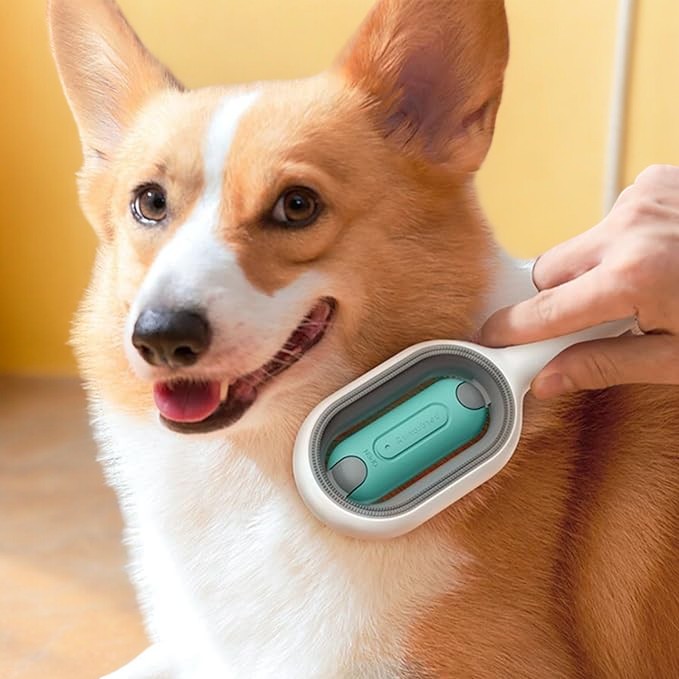 Hair Removal Brushes for Pets